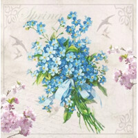 LAURA 33x33, Ambiente