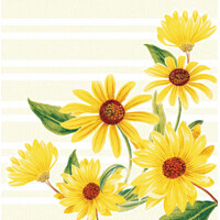 MARLENE  40x40 Linclass, MANK