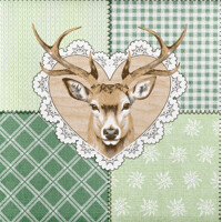 ABIGAIL 40x40 Linclass, Mank