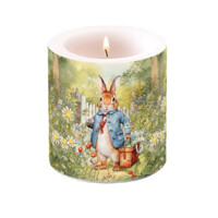 MISTER RABBIT, Ambiente