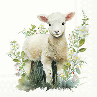 LAMB 25x25, Ambiente
