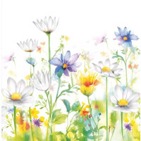 BEAUTIFULL FLOWER MEADOW 33x33, Daisy