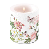 AMELIA medium, Ambiente