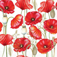 POPPY ALL  OVER white 25x25, Ambiente