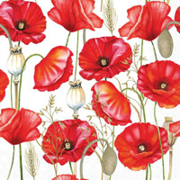 POPPY ALL OVER white 33x33, Ambiente
