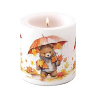 UMBRELLA BEAR, Ambiente