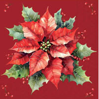 FESTIVE POINSETTIA  red 33x33, Ambiente