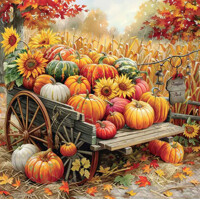PUMPKIN HARVEST 33x33, Ambiente