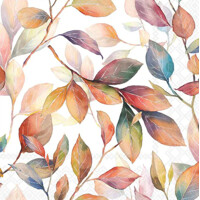 COLOURFUL LEAVES 33x33, Ambiente