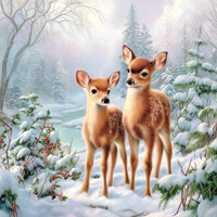 OLIVIA AND OLIVER 33x33, Ambiente