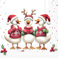 JOLLY DUCKS 33x33, Ambiente