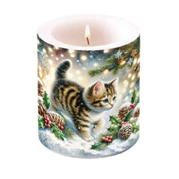 CUTE CAT IN THE SNOW, Ambiente