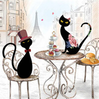 CATS IN PARIS 33x33, Ambiente