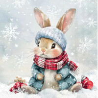 BUGSY 33x33, Ambiente