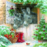 Santa´s Donkeys, Ambiente