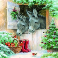 Santa´s Donkeys, Ambiente