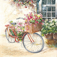  FLOWER BIKE, Home Fashion