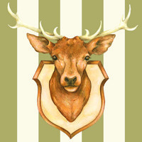 STAG gold-creme, Ambiente