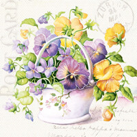 FLOWER LETTER, Paw
