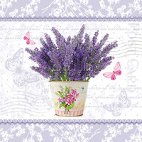 FLOWERING LAVENDER,Paw
