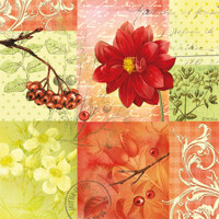  LATE SUMMER, Ambiente