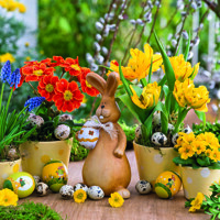 Easter Spring, Ambiente