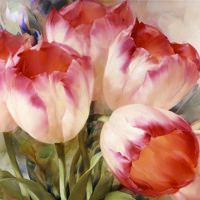  TULIPS DREAM, Ambiente 