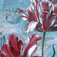 MAJESTIC TULIPS, Paw  