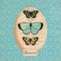 A BREATH OF LIGHT blue, Paper + Design