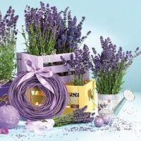 Lavender Indoors, Maki