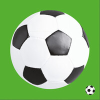 FUSSBALL 40x40/12 ks Linclass, MANK SH