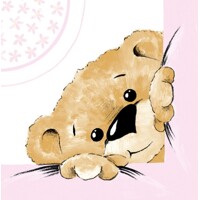 TEDDY rosa 40x40/12 ks Linclass, MANK Sovie Home