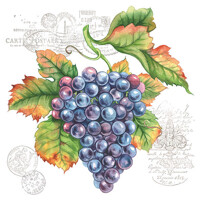 GRAPE VINE, Ambiente