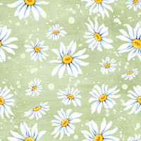 DAISIES green, Ambiente