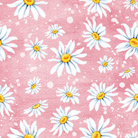 DAISIES rose, Ambiente