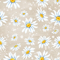DAISIES stone, Ambiente