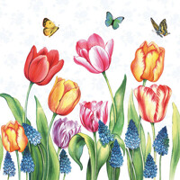 TULIPS & MUSCARI, Ambiente