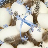 Eggs on Quail Feathers, Maki
