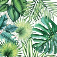  Tropical Leaves, Ambiente