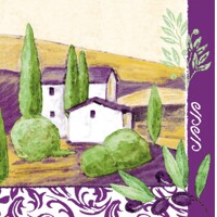 PROVENCE  40x40 / 12 ks Linclass, MANK Sovie Home