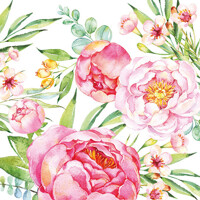  PEONY, Ambiente