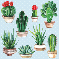 CACTUS blue, Ambiente
