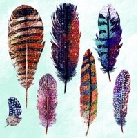  FEATHERS blue, Ambiente
