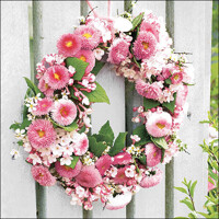  WREATH OF BELLIES rose, Ambiente