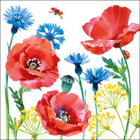 CORNFLOWER AND POPPY, Ambiente
