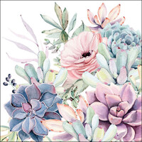 SUCCULENT, Ambiente