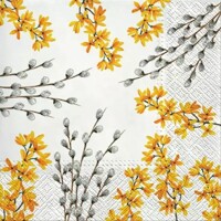  CATKINS AND FORSYTHIA, Paw