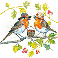 servítky BIRDIE HATS, Ambiente