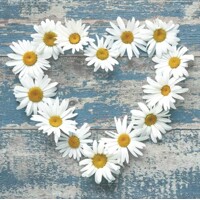 servítky  Daisy Hearts on Old Wooden Background