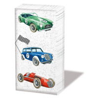 Vreckovky CLASSIC CARS, Ambiente